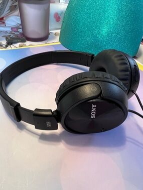 Sony Black Headphones